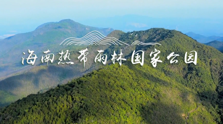 海南热带雨林国家公园