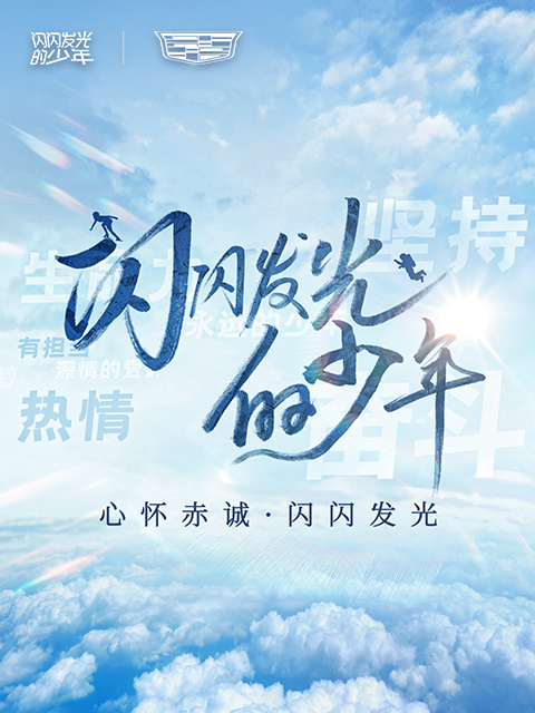 闪闪发光的少年2