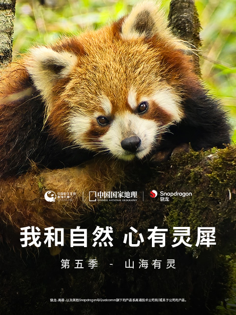 《我和自然心有灵犀》5-山海有灵