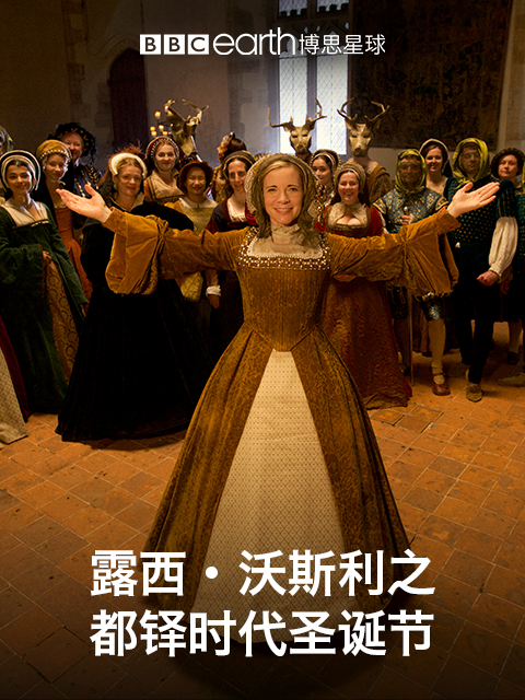 露西沃斯利之都铎时代圣诞节