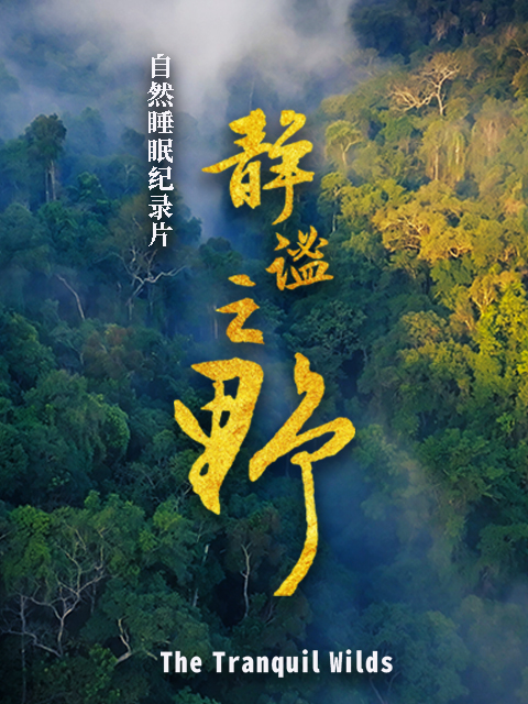 静谧之野