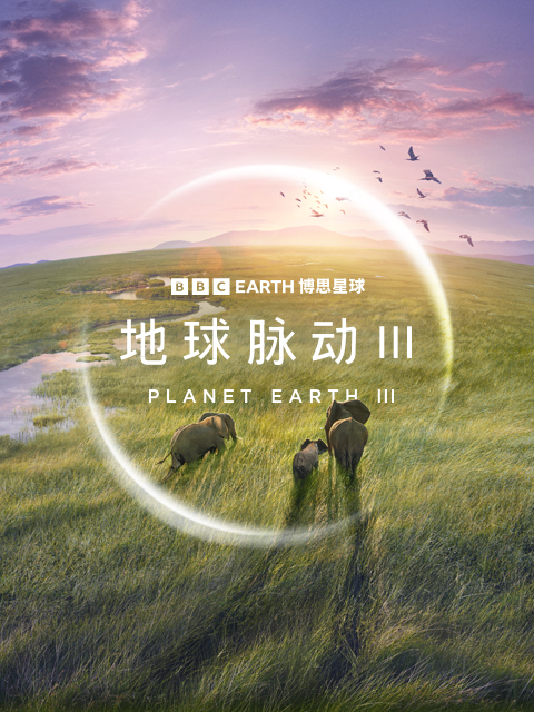 地球脉动3