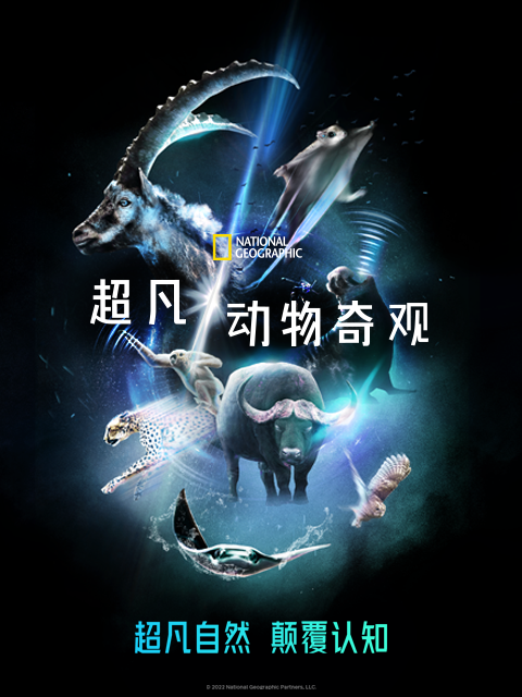 超凡动物奇观 中配版