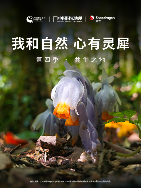 《我和自然心有灵犀》4-共生之地