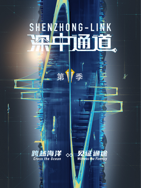 深中通道2