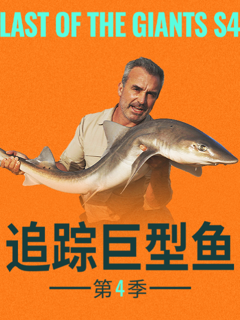 追踪巨型鱼4