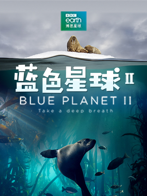 蓝色星球2