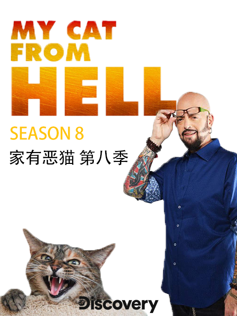 家有恶猫8