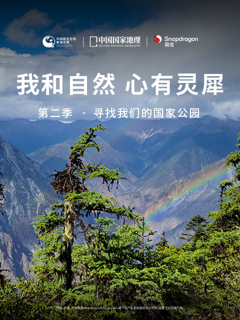 《我和自然心有灵犀》2-寻找我们的国家公园