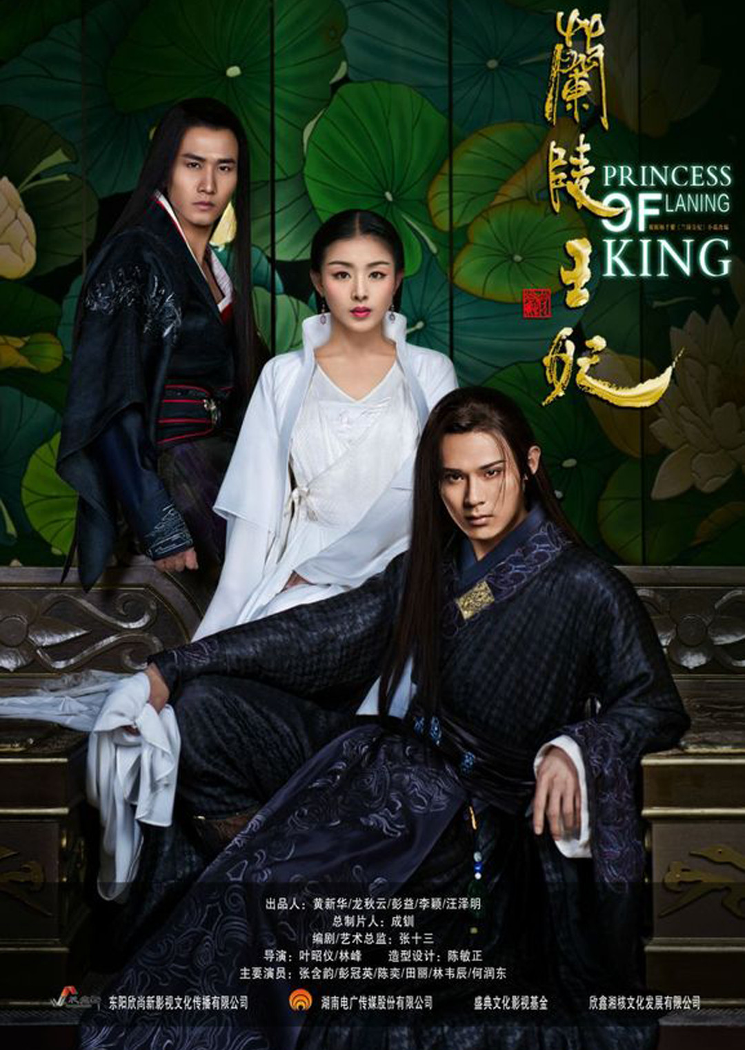 兰陵王妃DVD
