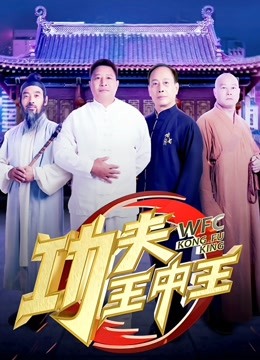 功夫王中王3