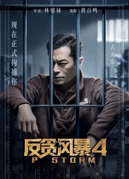 反贪风暴4 粤语版