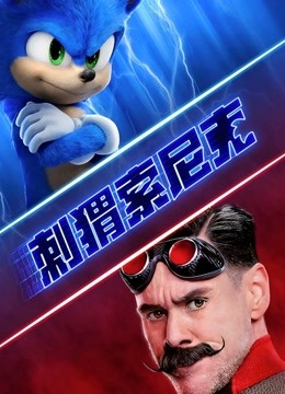刺猬索尼克 国语版