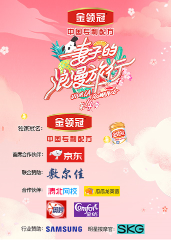 妻子的浪漫旅行4