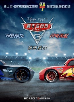 赛车总动员3：极速挑战 国语版