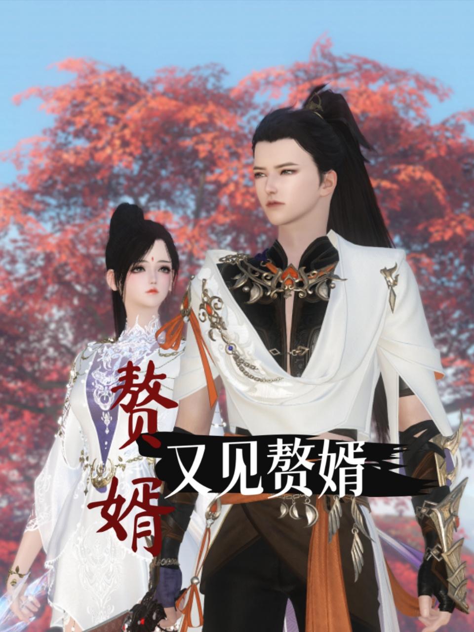 赘婿又见赘婿