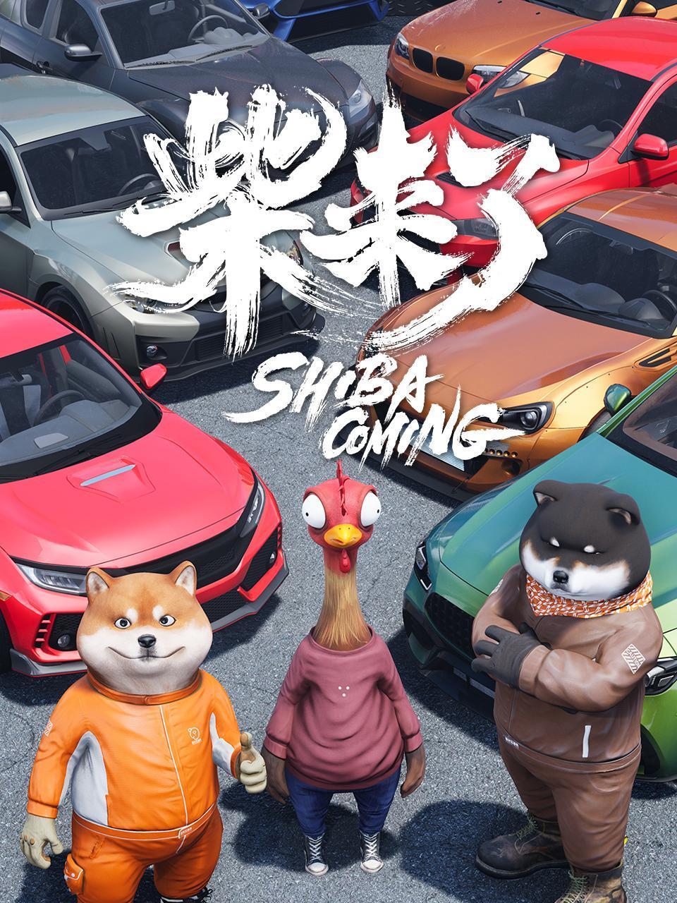 柴来了