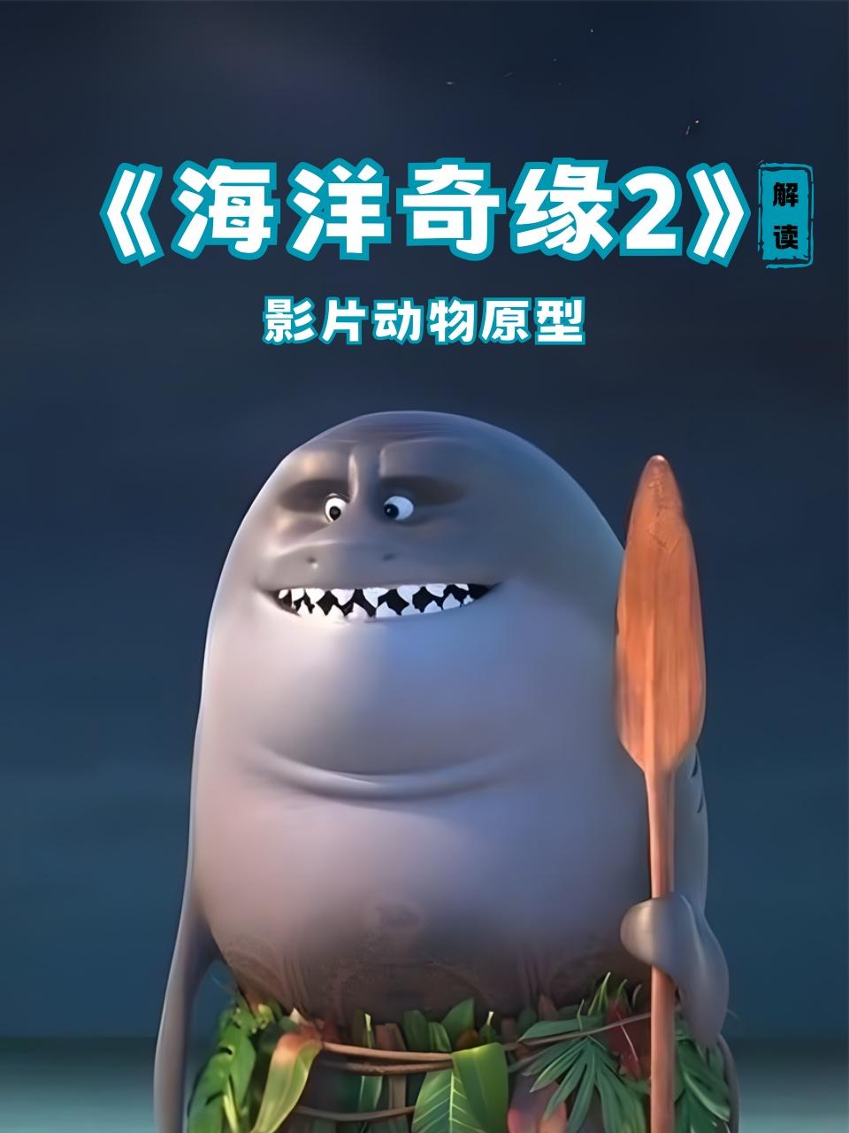 《海洋奇缘2》解读影片动物原型