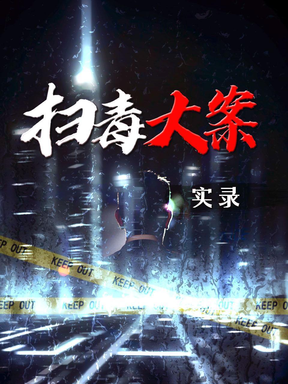 扫毒大案实录