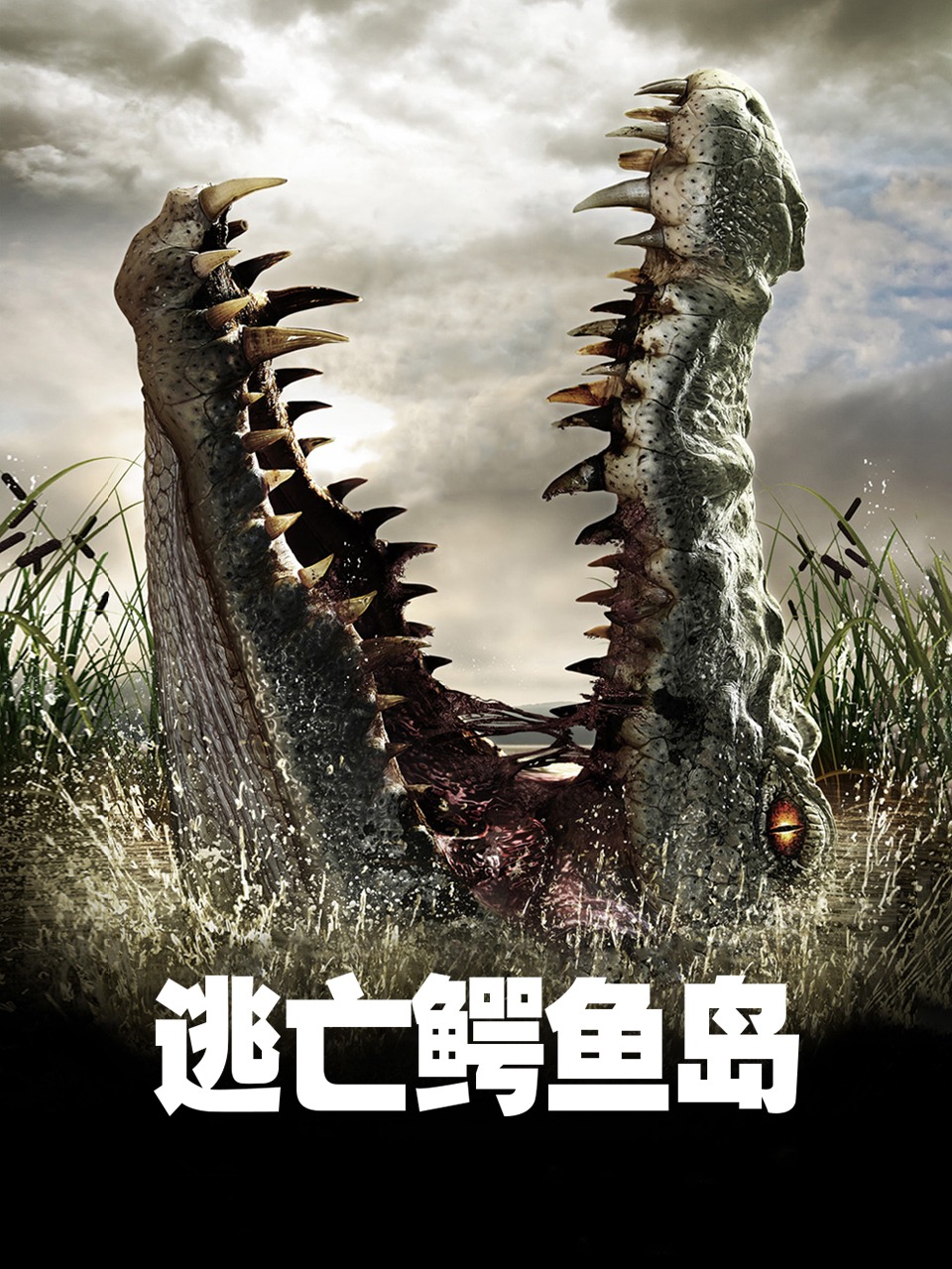 逃亡鳄鱼岛