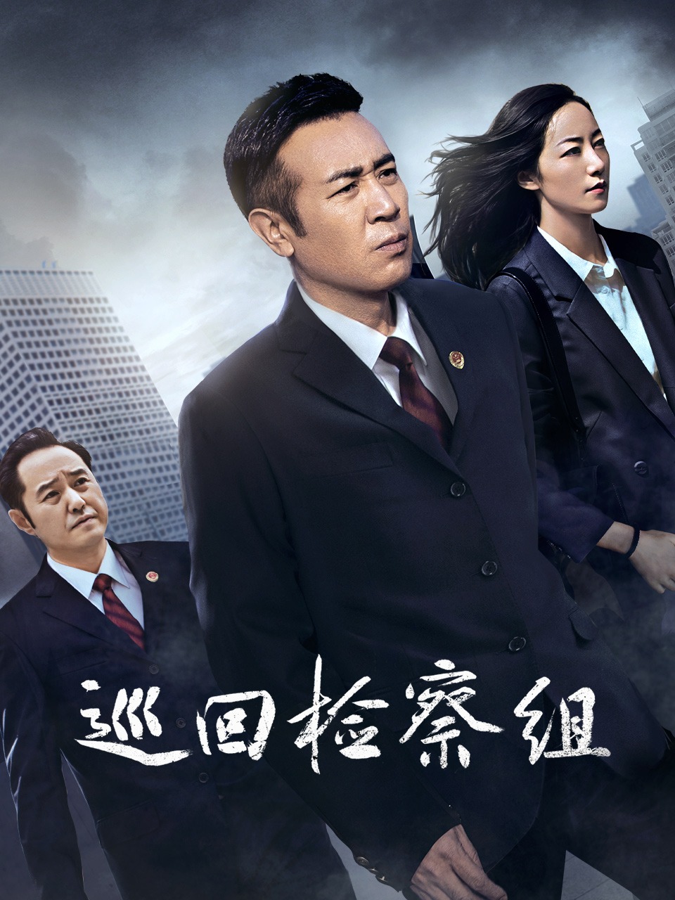 巡回检察组DVD
