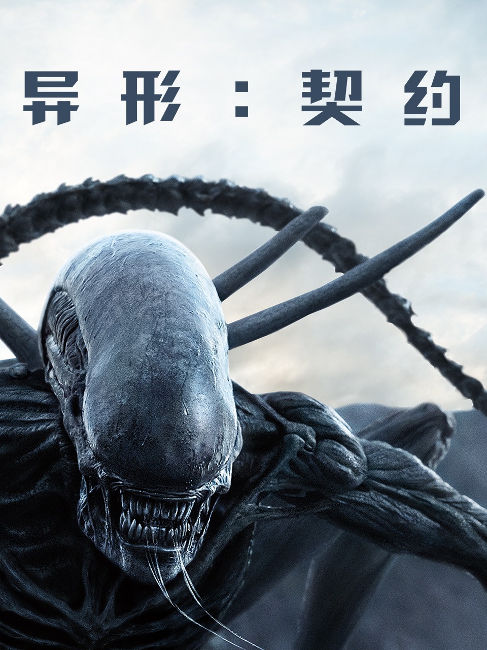 异形契约
