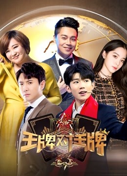 王牌对王牌3