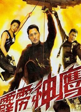 霹雳神鹰 1996