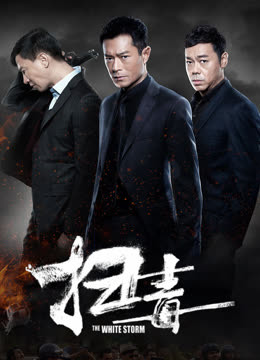 扫毒粤语版