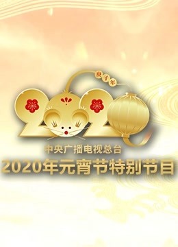 央视元宵特别节目