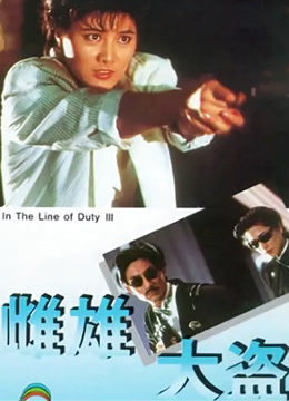 雌雄大盗1988粤语版