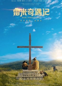 雷米奇遇记 国语版