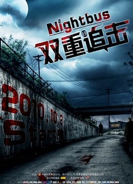 双重追击 国语版