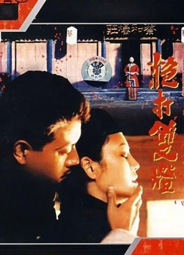 炮打双灯 1994
