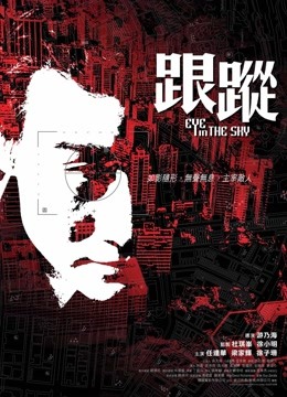 跟踪 粤语版