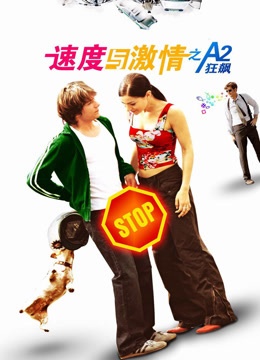 速度与激情 2004