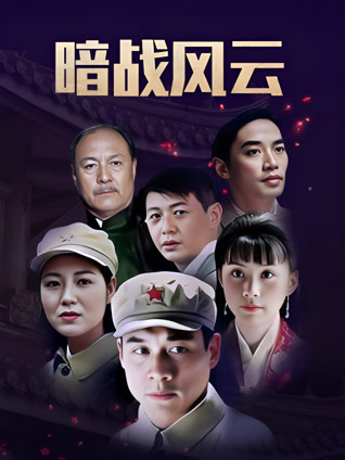 暗战风云丁海峰版