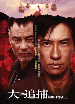 大追捕粤语版