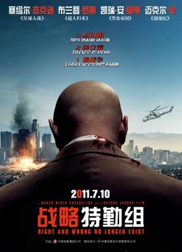 战略特勤组 2010