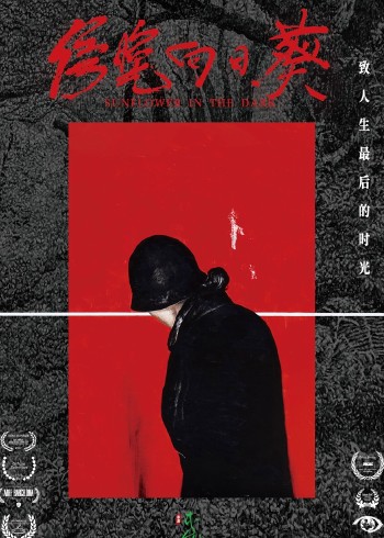 傍晚向日葵