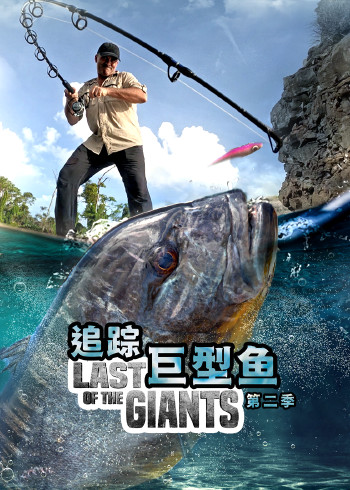 追踪巨型鱼2