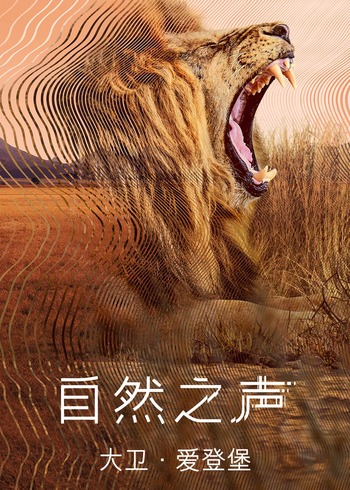 自然之声国语版