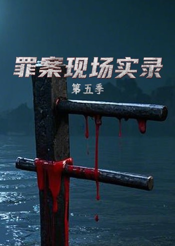 罪案现场实录5