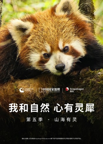 我和自然心有灵犀5：山海有灵