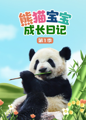 熊猫宝宝成长日记1