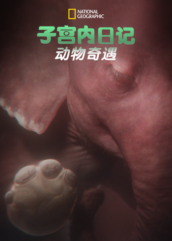 子宫内日记：动物奇遇1
