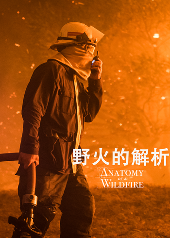 野火的解析