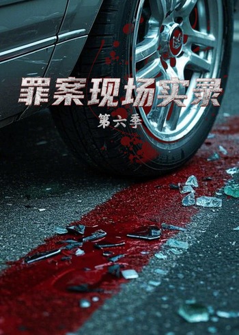 罪案现场实录6