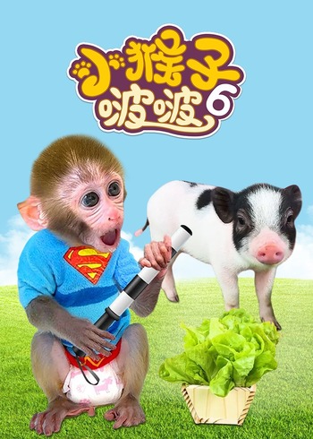 小猴子啵啵6