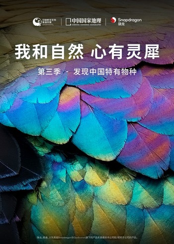 我和自然心有灵犀3：发现中国特有物种